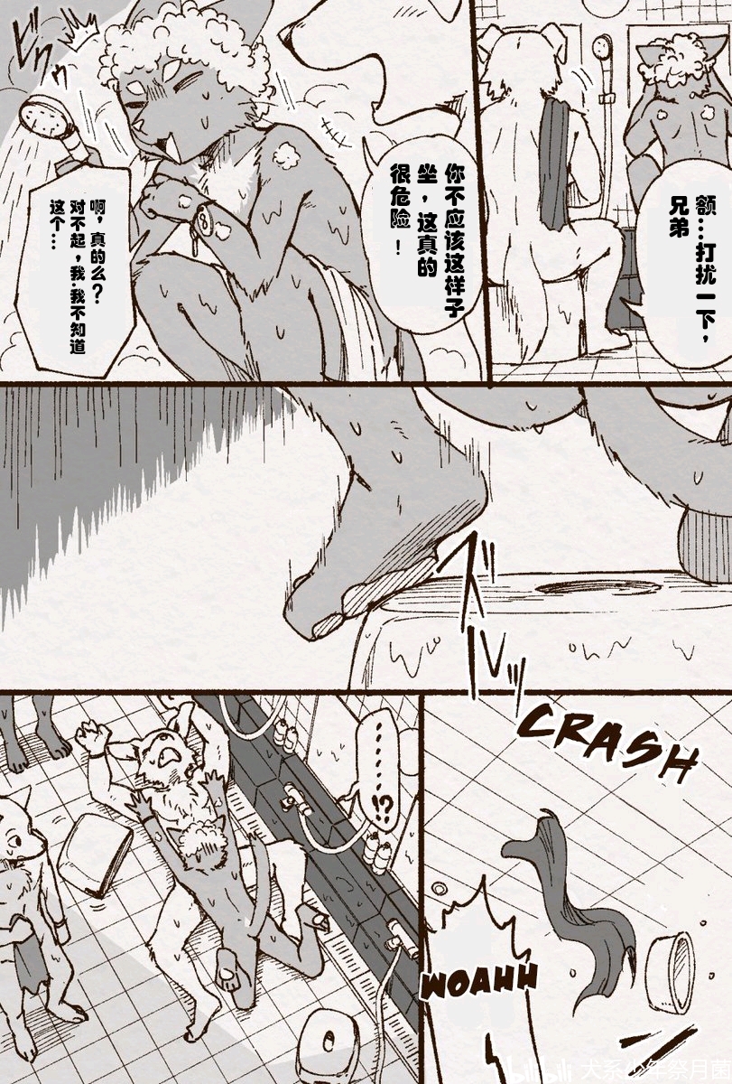 红果短剧热门短剧速看合集